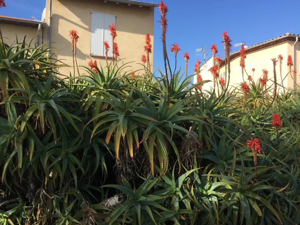 Le Melody Apartman Antibes Kültér fotó